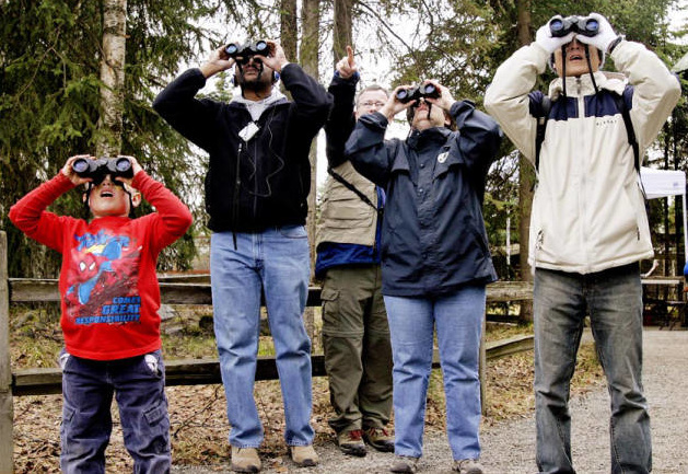 birders in Alaska using binoculars; image courtesy of US Fish and Wildlife&nbsp;Service