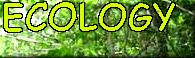 ecology