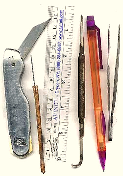 flower dissecting kit