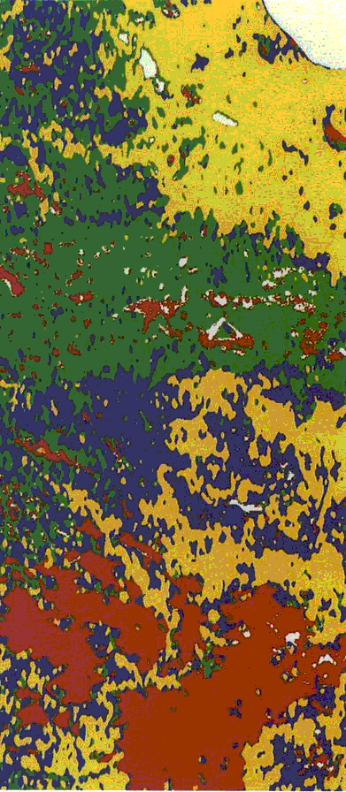 A vegetation map of Raco, Michigan area, centered around 46 degrees north latitude and 85 degrees west longitude. SIR-C/X-SAR acquired radar imagery on April 9, 1994, during the 6th orbit of the space shuttle Endeavour (STS-59), and a science team at the University of Michigan produced this map of biomass in Raco.
